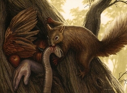 Ravenous Squirrel preview