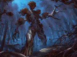 Innistrad Woods preview