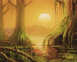 Swamps (and other lands)