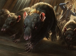 Rats preview