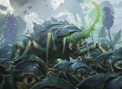 Gruul Landfall