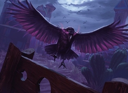 (Pauper) Raven's Crimes preview