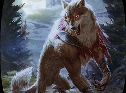 Guys I'm not a furry I swear! (vampires vs werewolves custom duel deck) preview