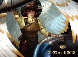 pauper commander preview