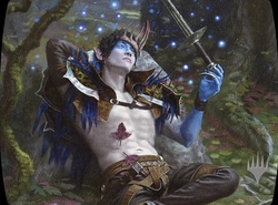 Xavier der gepilzte Pirat (Ich liebe Planeswalker) preview