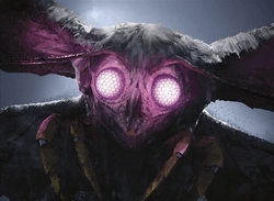 The Wise MothMan preview