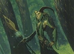 Shaman elves