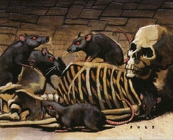 Pauper rats