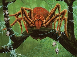 The Information Super Highway preview