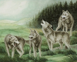 Mono Green Wolf Pack