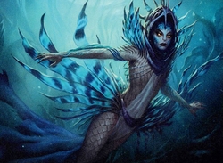 Standard Merfolk Tribal preview