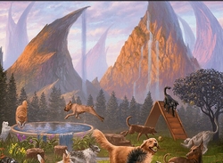 Rainbow deck preview