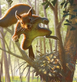 EDH Squirrel preview