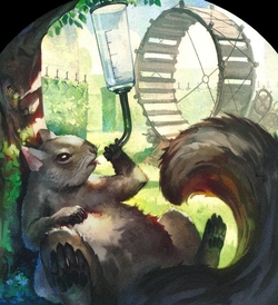 Adrian Squirrel Deck preview