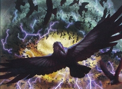 126: Crow Storm – Storm Crows