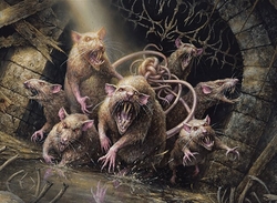 Rakdos Rats Colony