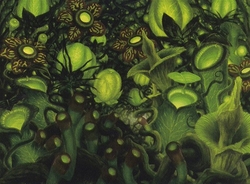 Pauper Golgari Gardens preview