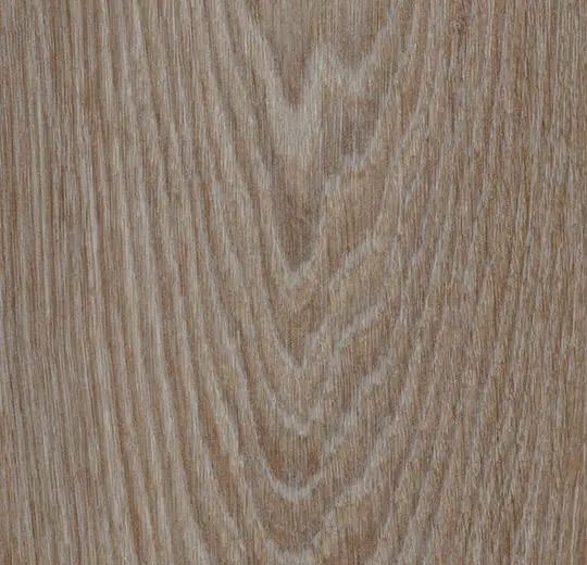 Hazelnut timber