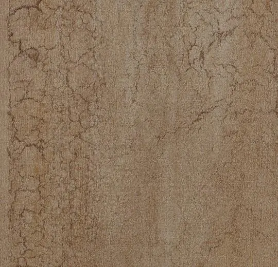Bronzed oak