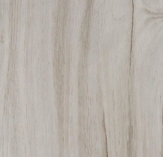 Whitened oak