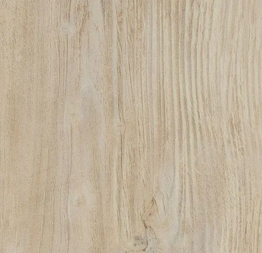 Bleached rustic pine