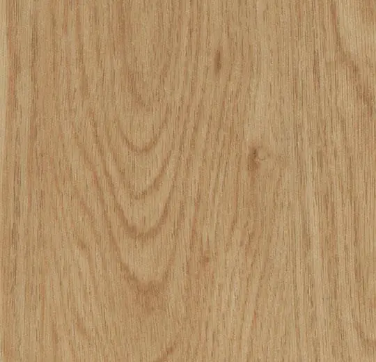 Honey elegant oak