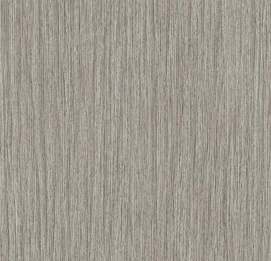 437682/337682 Origin tourterelle