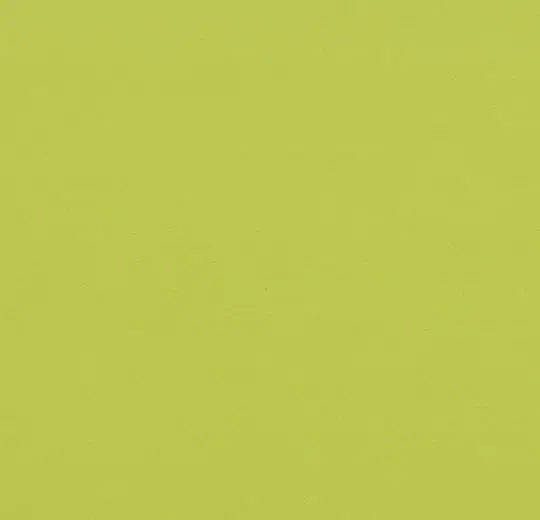 4370808/3370808 Uni anis