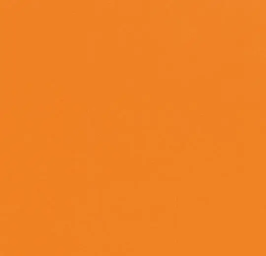 4370806/3370806 Uni abricot