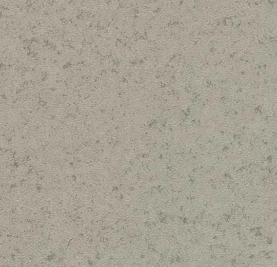 211T4319/211T3319 light grey canyon