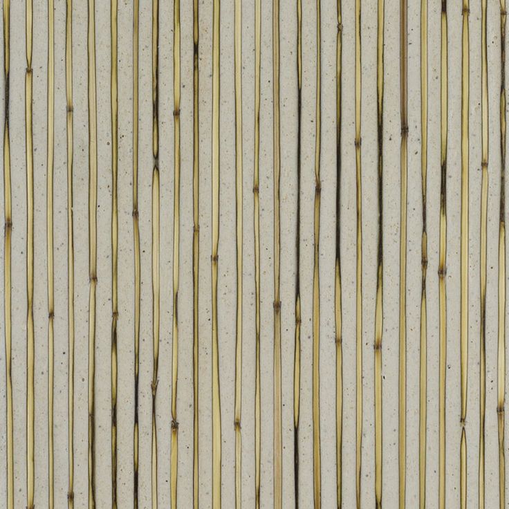 PAN REED – WHITE STONE (ech1)