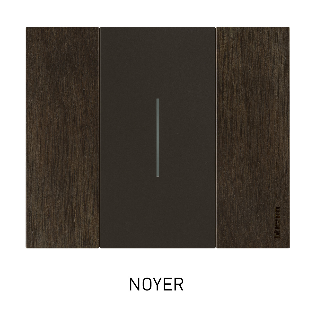 NOYER