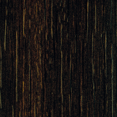Chêne noir d'Ecosse