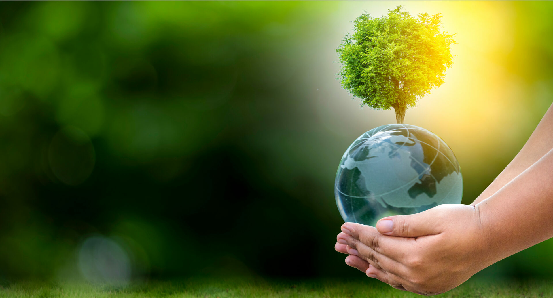 Earth Day 2023 Banner