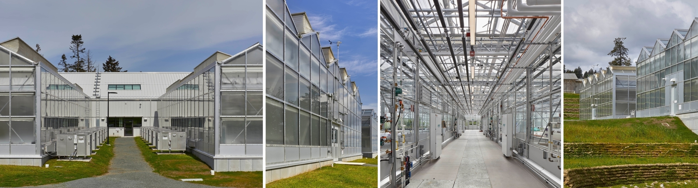 Sidney Centre for Plant Health 02