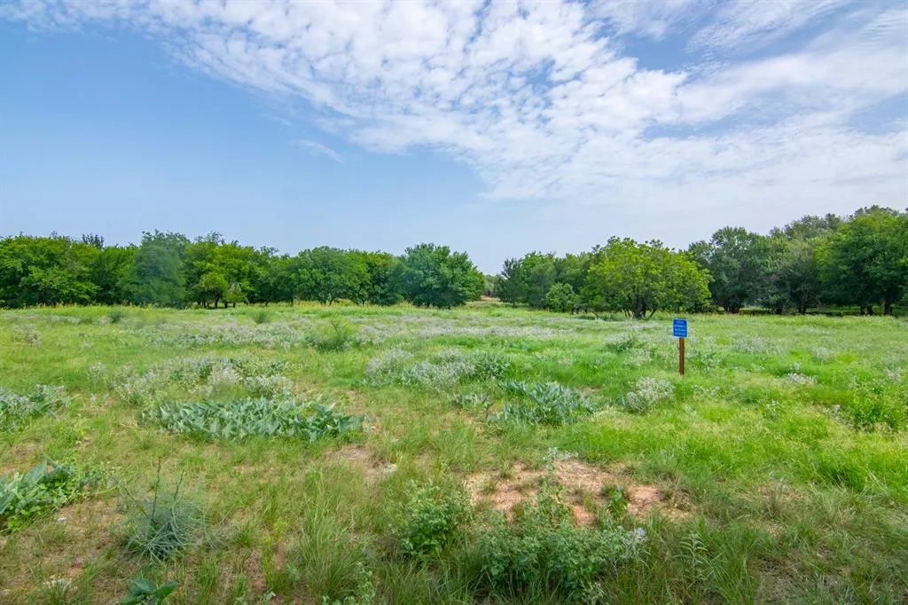 0000 Oak Trail Drive, Brownwood, Texas 76801