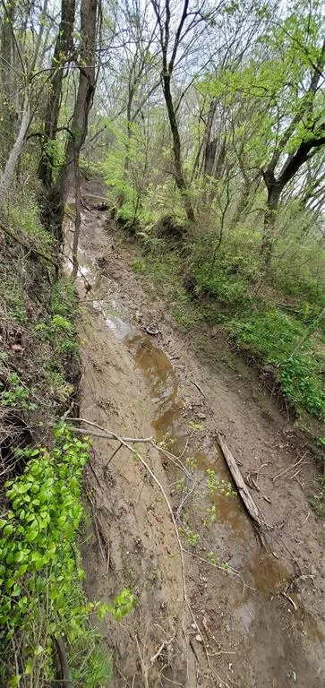 TBD-6990 County Road 3226 Lone Oak, Texas 75453