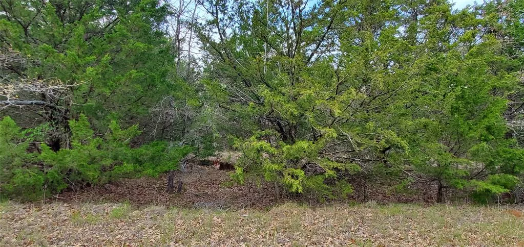 TBD-6990 County Road 3226 Lone Oak, Texas 75453