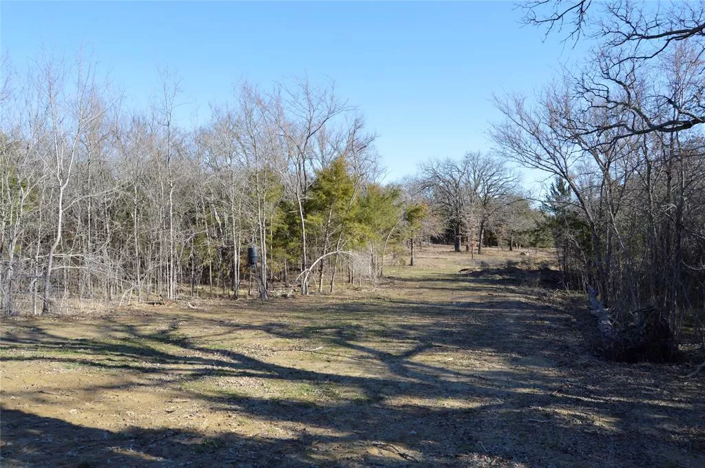 TBD-6990 County Road 3226 Lone Oak, Texas 75453