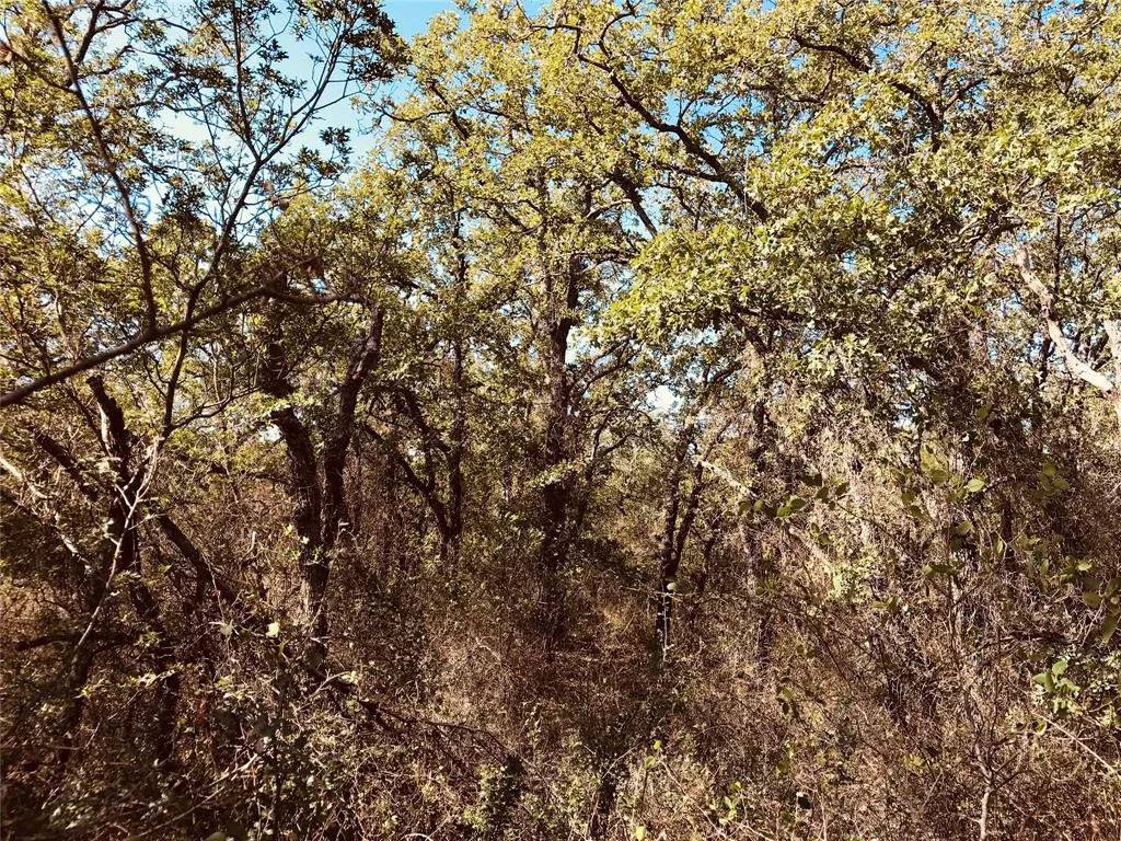 TBD FM 880 Cross Plains, Texas 76443