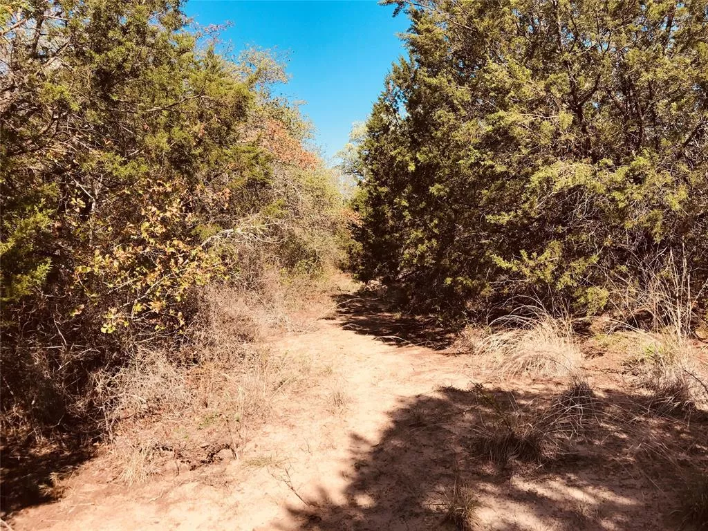 TBD FM 880 Cross Plains, Texas 76443