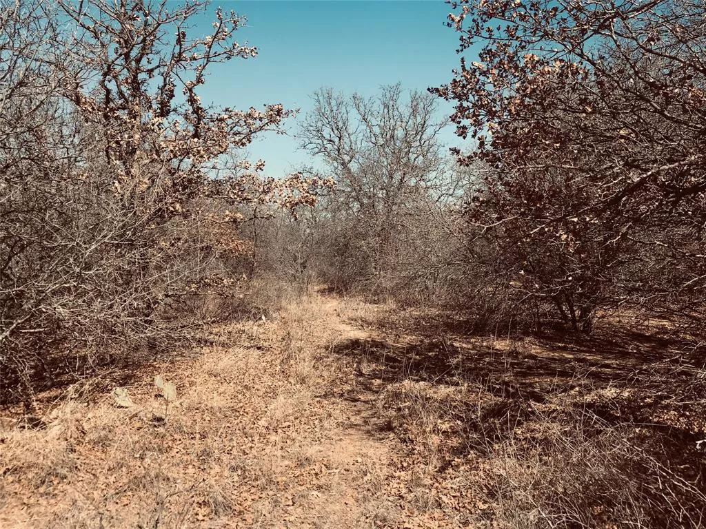 TBD FM 880 Cross Plains, Texas 76443