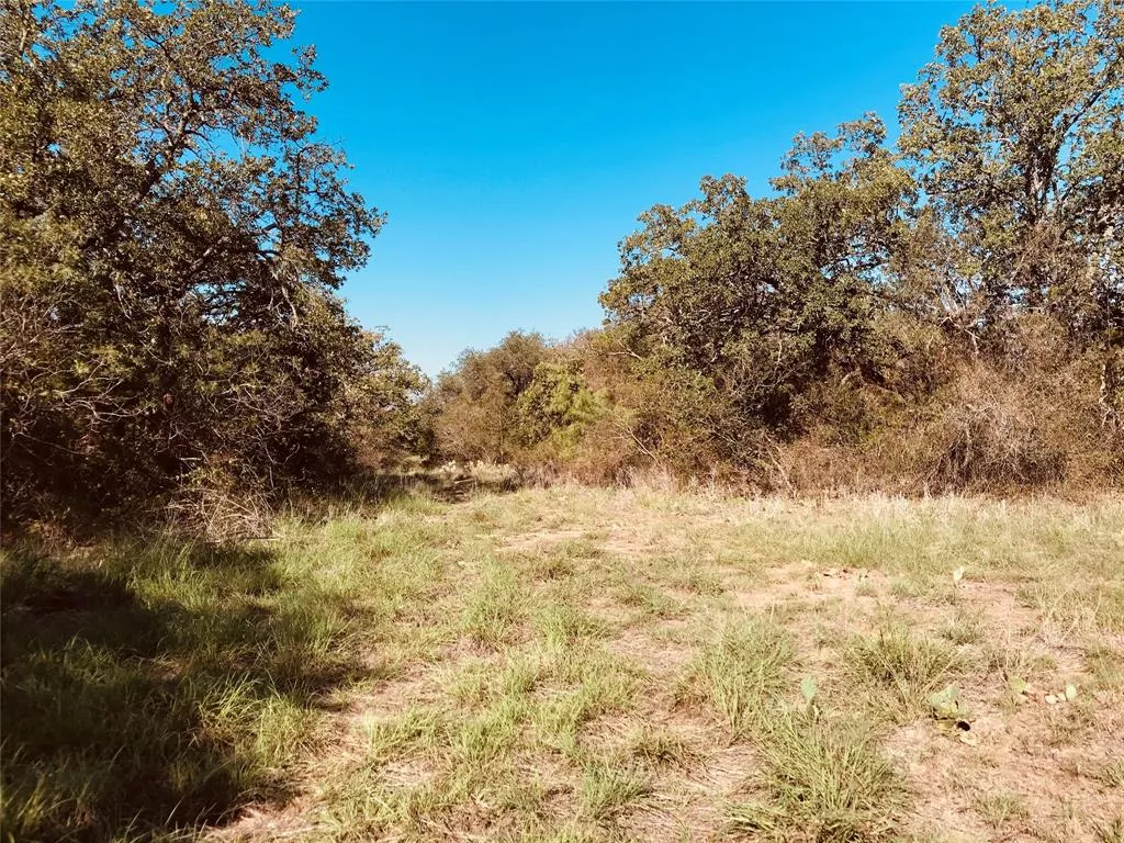 TBD FM 880 Cross Plains, Texas 76443