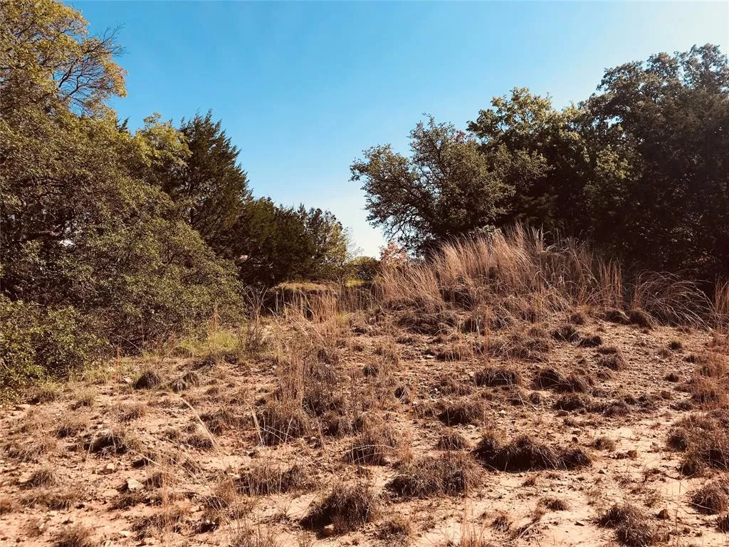 TBD FM 880 Cross Plains, Texas 76443