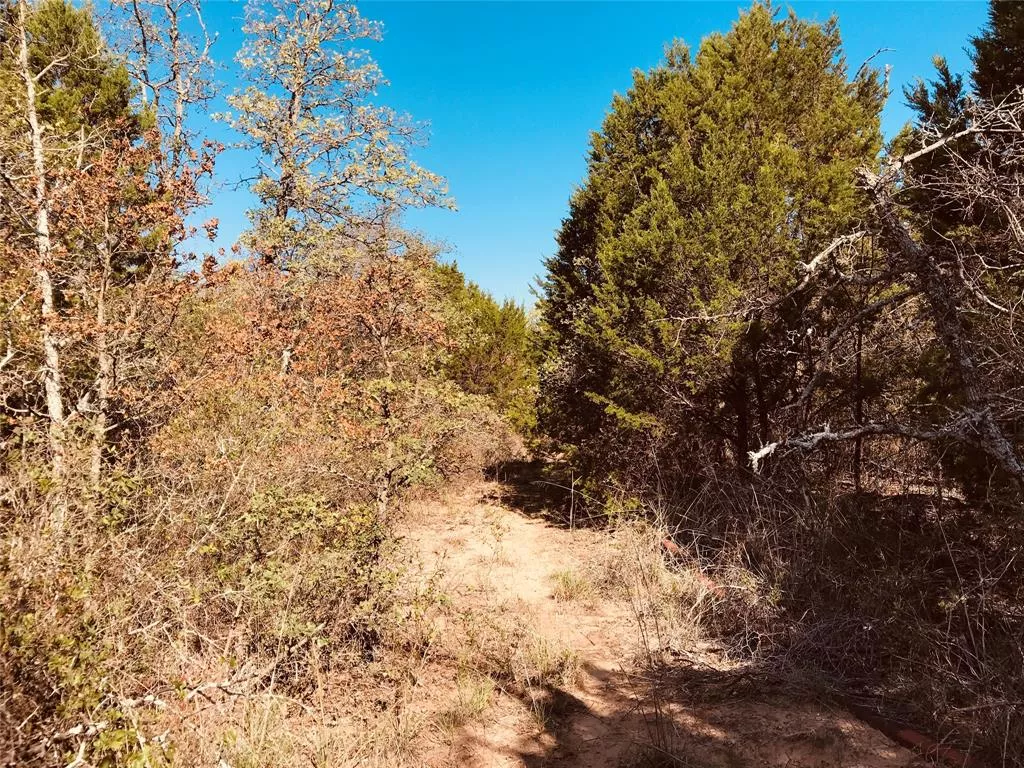 TBD FM 880 Cross Plains, Texas 76443