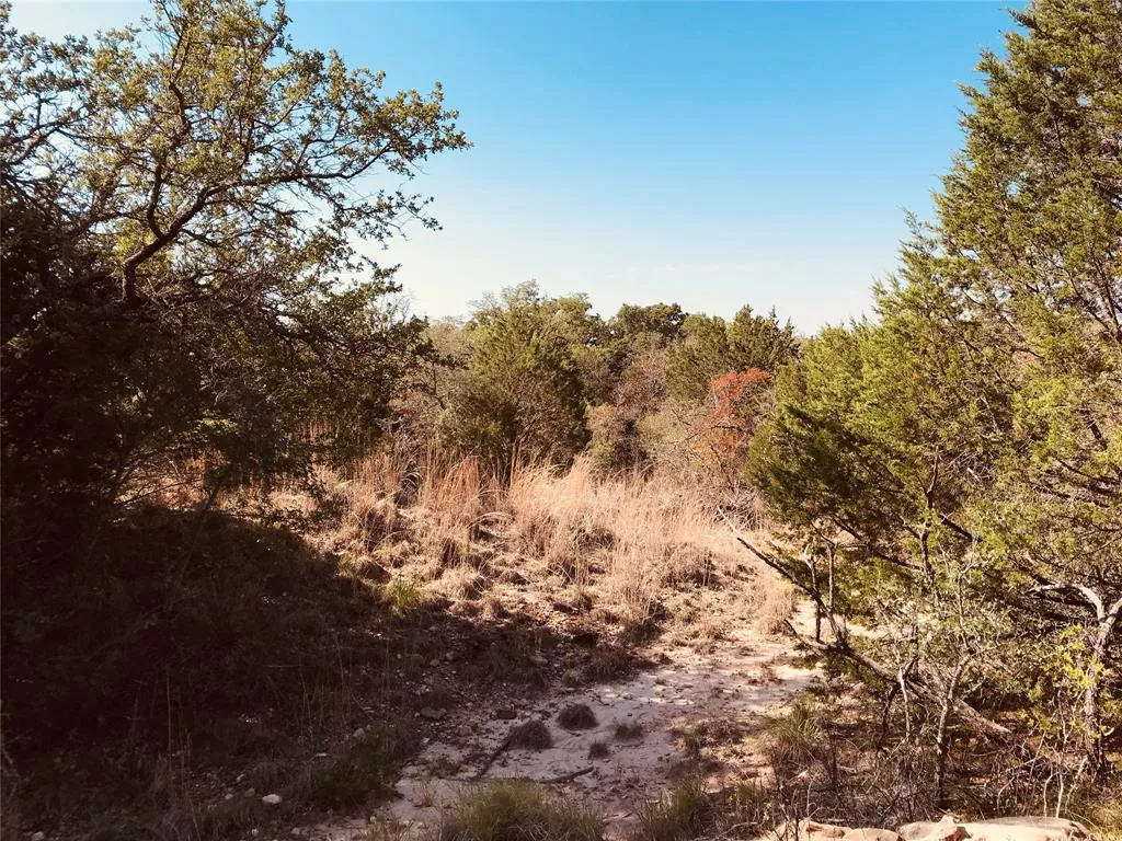 TBD FM 880 Cross Plains, Texas 76443