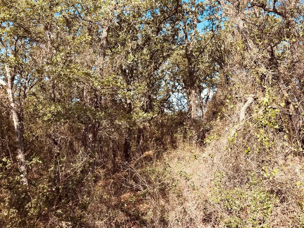 TBD FM 880 Cross Plains, Texas 76443