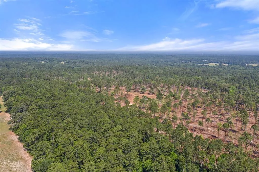 TBD (Tract A) FM 2012 Overton, Texas 75684