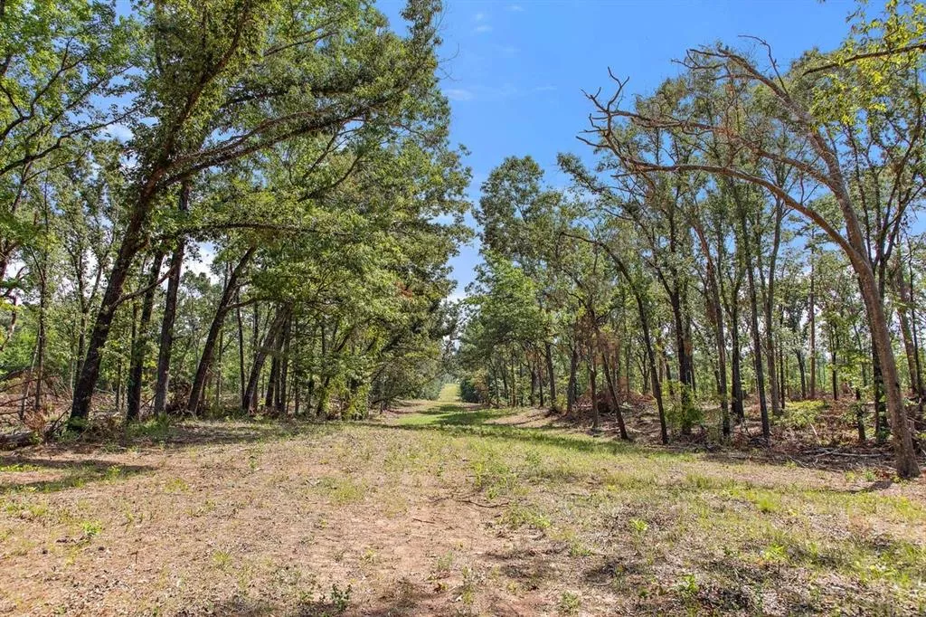 TBD (Tract A) FM 2012 Overton, Texas 75684