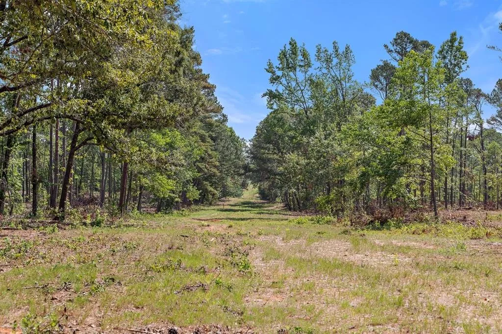 TBD (Tract A) FM 2012 Overton, Texas 75684